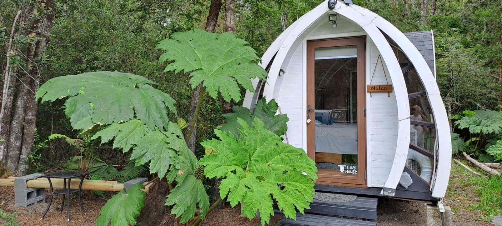 Cabanas Los Volcanes Ensenada Puerto Varas Extérieur photo